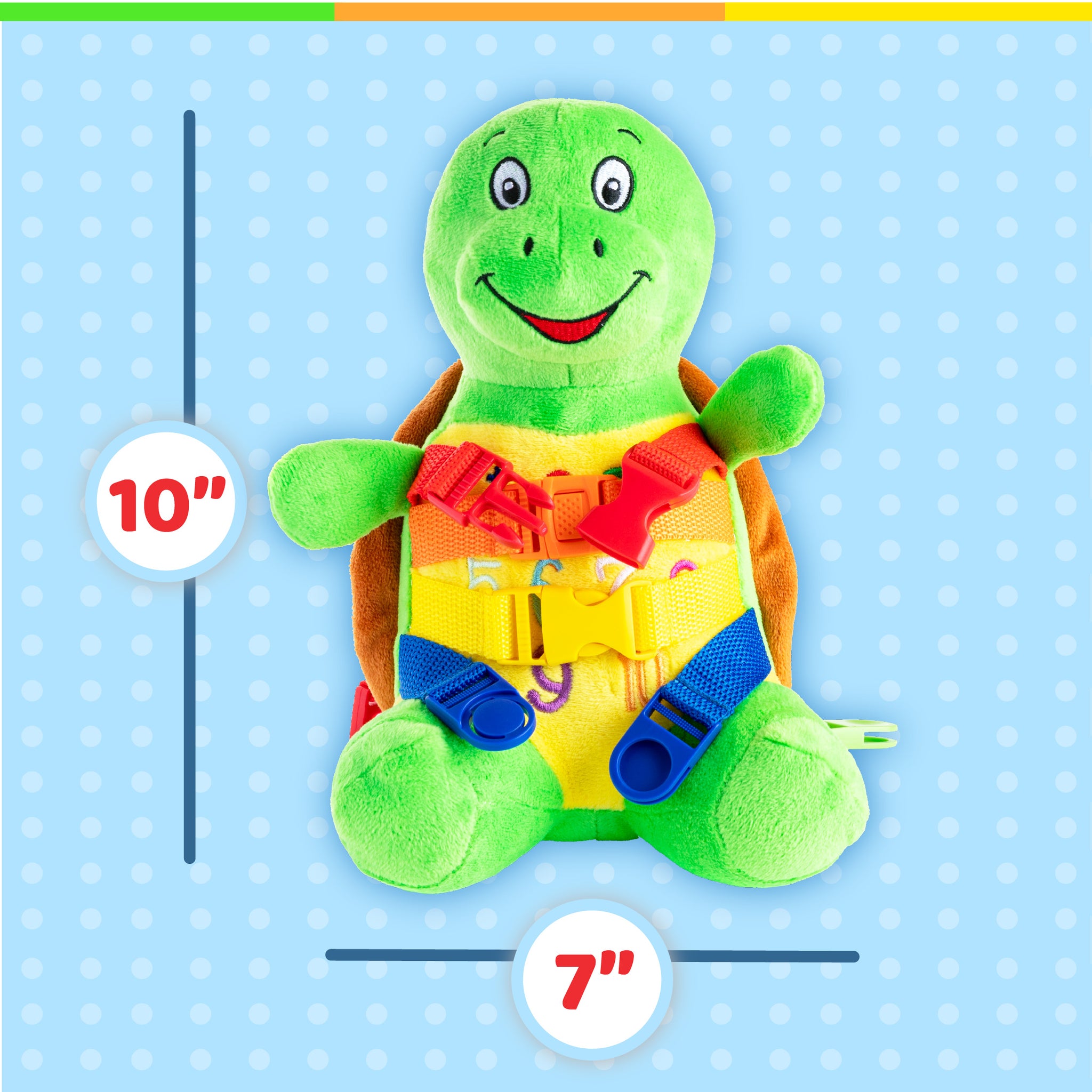 https://www.buckletoy.com/cdn/shop/products/BuckyTurtleBuckleInfo5_1024x1024@2x.jpg?v=1633379924